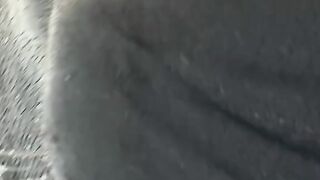 polar bear chasing sea lion