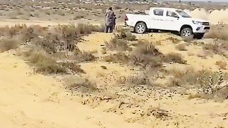 Dessert cholistan jeep really