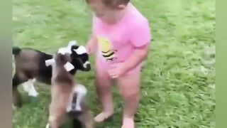 Goet for baby cute video