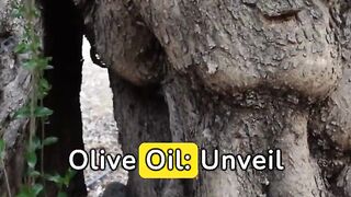 take advantage of the power of olive oil !?