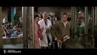 Earthquake (1974) - Aftershock Scene (7_10) _ Movieclips.