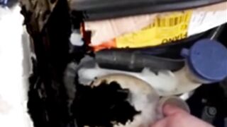 اختلاط الزيت بالماء في محرك السيارة. المشاكل والحلول Mécanique Mokhtar روحات مختار