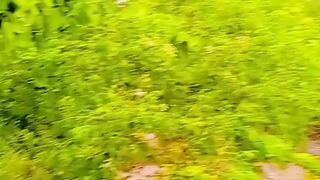 Funny video| funny content ????????