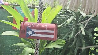 Naturaleza boricua