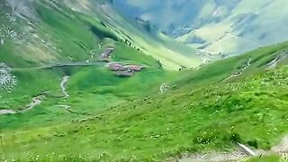 Nature of beauty