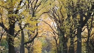 Short song video