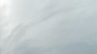 Birds Planet Beautiful Weather