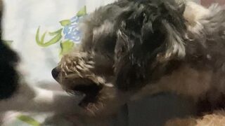 Hola que buen video