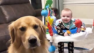 Comedy video of baby and cat