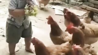 funny video