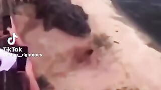 TikTok Funny Videos