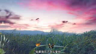 今日分享