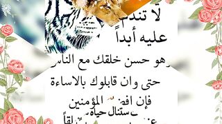 عبرات جميلة من الحياة