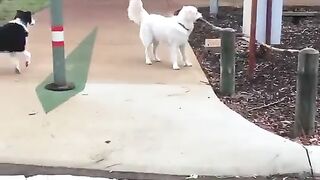 I was on the edge of my seat!