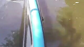 That moment when you realize your canoe is stuck on an alligator's back ????