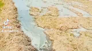 Watering the fields