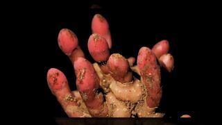 Devious parasitic plant convinces host to grow into its own flesh