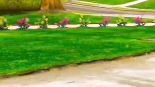 Gta5 gaming