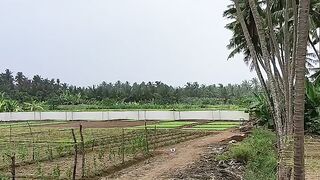 Oman salalah