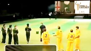 Cricket videos