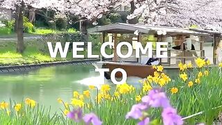 Walking into paradise - Japan