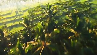 Nature Zone