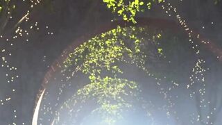 Apocalipse 2
