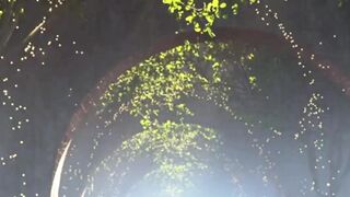 Apocalipse 2