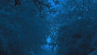 Nature Beauty, Real????, lovely, beautiful World,
