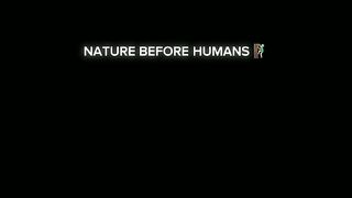Nature Before Human, Nature Video, Heart Touching Video