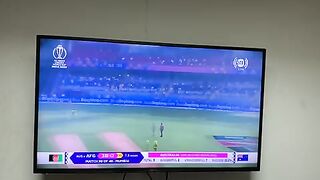 Australia wicket taker hazlwood