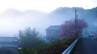 #foryoupage #japan #viral