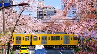 #foryoupage #viral #japan