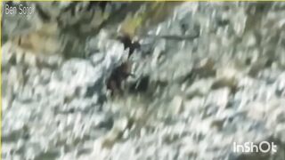 #Eagle hunting