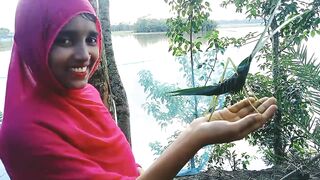 How to make grasshopper with coconut leaves_How to Make a Coconut Leaf Grasshopper