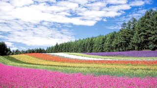 The World's Most Beautiful Places