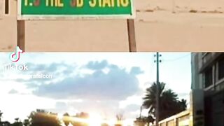 المحطة الثالثة مدينة تدمر