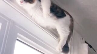 Funny2