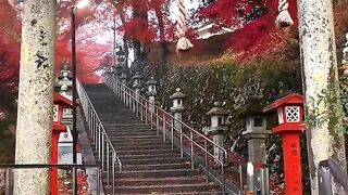 #japan #fyp #trending