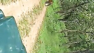Tiger ????