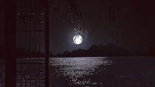 Relaxing and meditation music and video beautiful scenery natural beauty #relaxing #meditation #