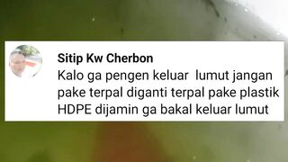 Kolam plastik H.D.P.E tidak akan berlumut BENAR atau TIDAK❓