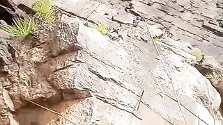 VID_20240304_103222.