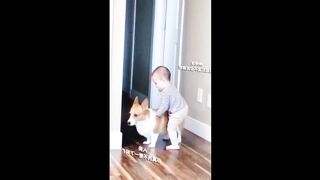 Cute animals