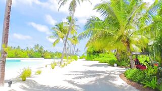 Beach tour
