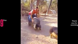 TRY NOT TO LAUGH ???? part 5