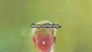 People Who Experience Deep Suffering And....