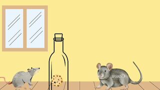 Clever mouse and cat????