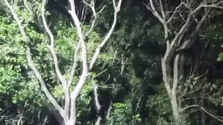 গুড ভিডিও