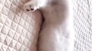 Funny 5